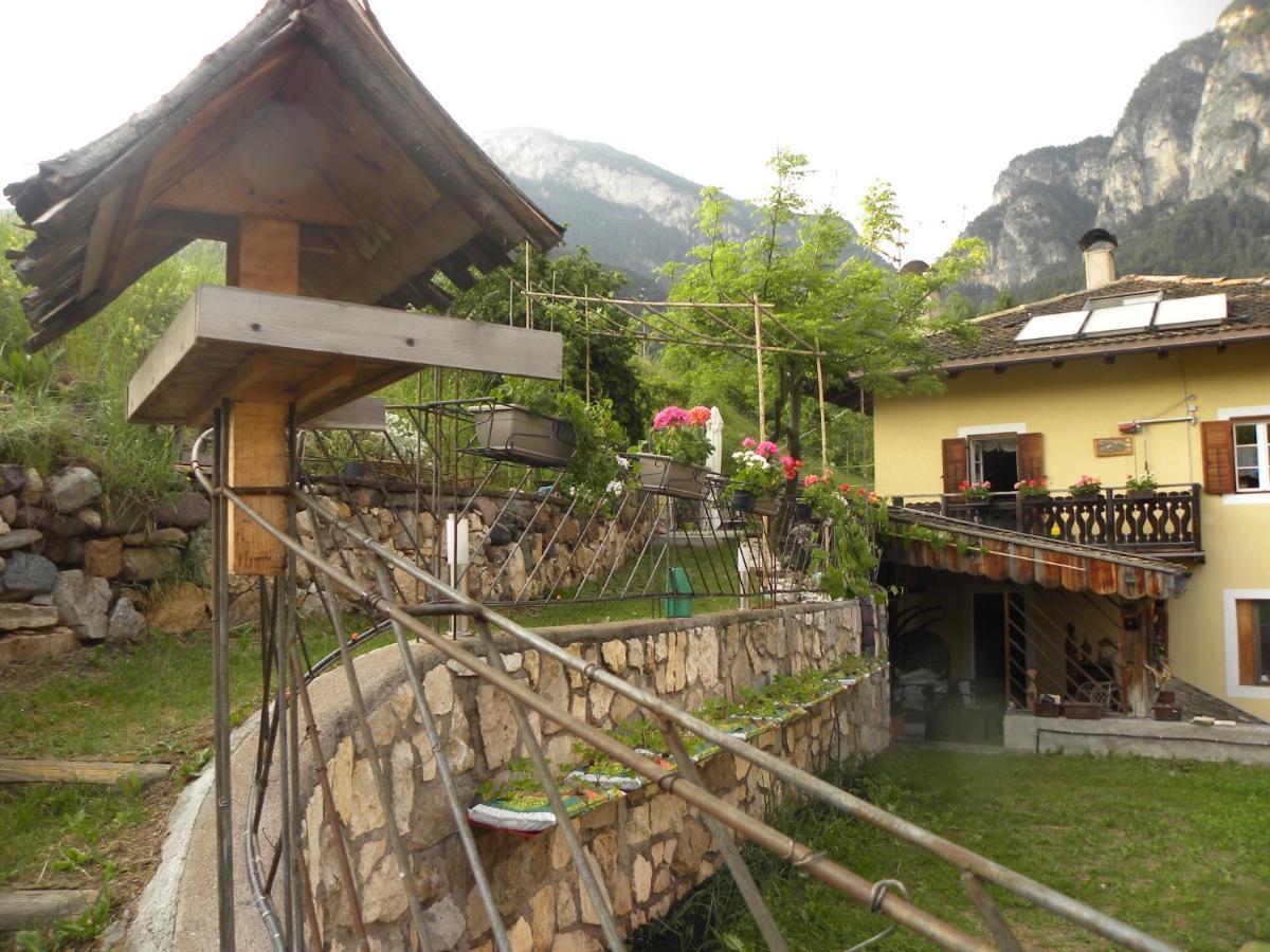 B&B La Casa Delle Bambole Panchia Exterior photo